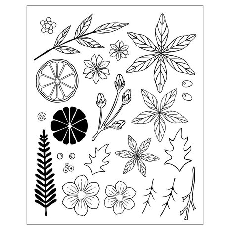 Sizzix Clear Stamps with Framelits Die Winter Florals (24+44pcs) by Vicki Boutin (667192) Sizzix Clear Stamps with Framelits Die Winter Florals (24+44pcs) by Vicki Boutin (667192)