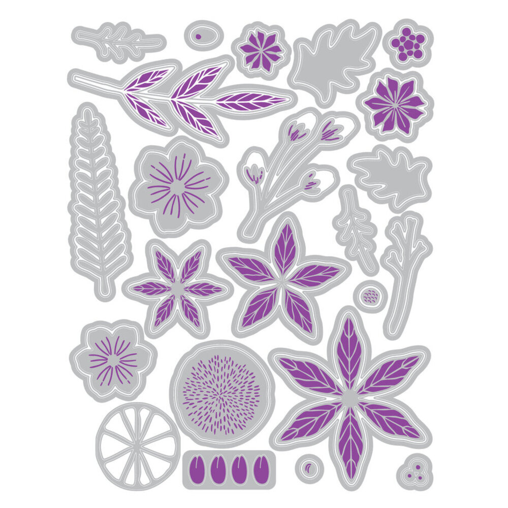 Sizzix Clear Stamps with Framelits Die Winter Florals (24+44pcs) by Vicki Boutin (667192) Sizzix Clear Stamps with Framelits Die Winter Florals (24+44pcs) by Vicki Boutin (667192)