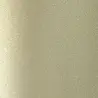 Vaessen Creative Glitter Cardstock A4 Light Gold 250gsm (20pcs) (2932-016) Vaessen Creative Glitter Cardstock A4 Light Gold 250gsm (20pcs) (2932-016)