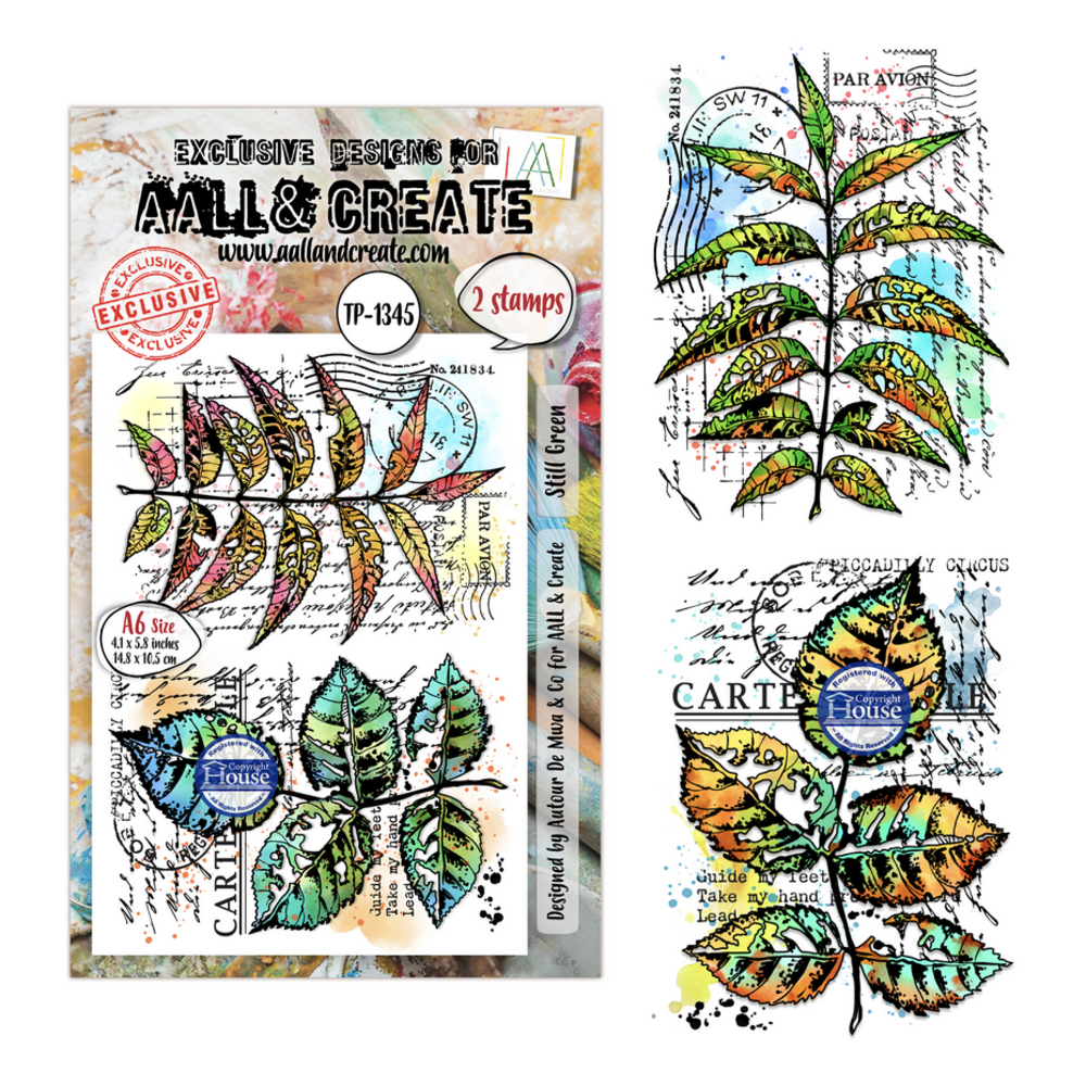 AALL and Create Clear Stamp Set A6 Still Green (AALL-TP-1345) AALL and Create Clear Stamp Set A6 Still Green (AALL-TP-1345)