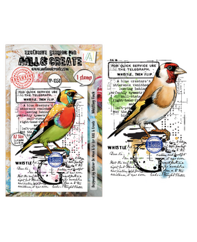 AALL and Create Clear Stamp Set A7 Whistling Finch (AALL-TP-1350) AALL and Create Clear Stamp Set A7 Whistling Finch (AALL-TP-1350)