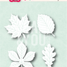 Craft & You PRE-ORDER Dies Autumn Leaves (CW422) Craft & You PRE-ORDER Dies Autumn Leaves (CW422)
