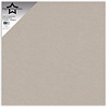 Paper Favourites Grey Chipboard 12x12 Inch 600g (5pcs) (PFSS922) Paper Favourites Grey Chipboard 12x12 Inch 600g (5pcs) (PFSS922)