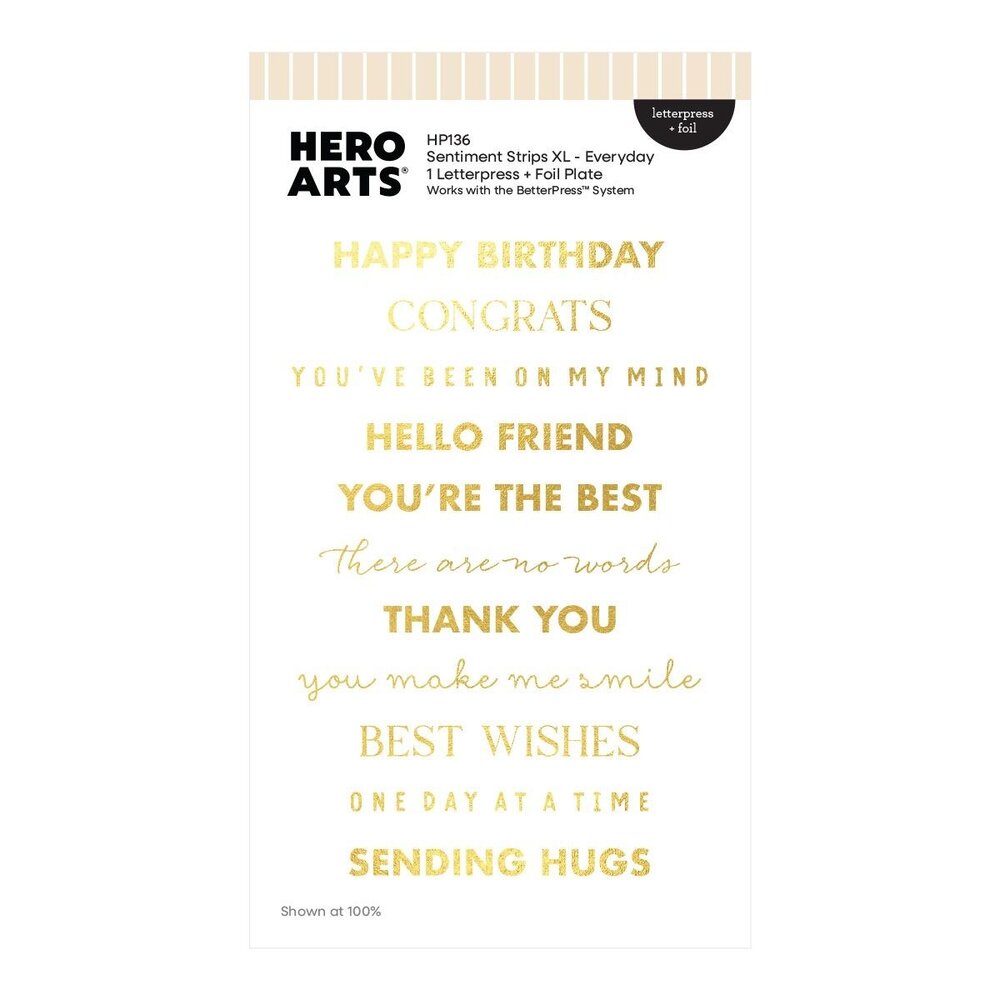 Hero Arts PRE-ORDER Say It With Style Letterpress + Foil Sentiment Strips XL Everyday (HP136) Hero Arts PRE-ORDER Say It With Style Letterpress + Foil Sentiment Strips XL Everyday (HP136)