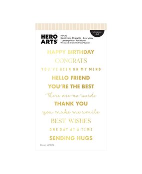 Hero Arts PRE-ORDER Say It With Style Letterpress + Foil Sentiment Strips XL Everyday (HP136) Hero Arts PRE-ORDER Say It With Style Letterpress + Foil Sentiment Strips XL Everyday (HP136)