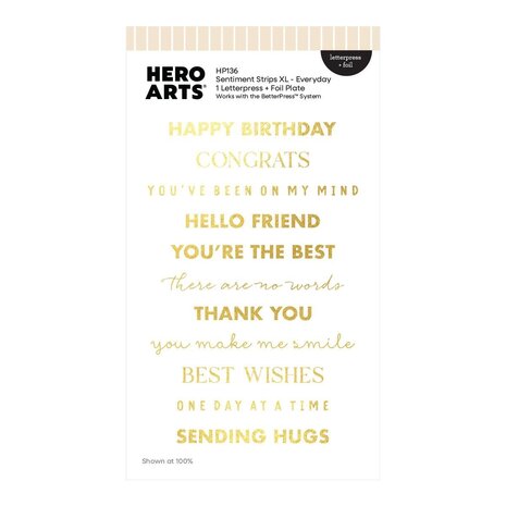 Hero Arts PRE-ORDER Say It With Style Letterpress + Foil Sentiment Strips XL Everyday (HP136) Hero Arts PRE-ORDER Say It With Style Letterpress + Foil Sentiment Strips XL Everyday (HP136)