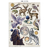 Stamperia Cosmos Junk Journal (SBJK29) Stamperia Cosmos Junk Journal (SBJK29)