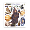 Stamperia Cosmos 8x8 Inch Rub-On Assortment (DFLRBXG14)