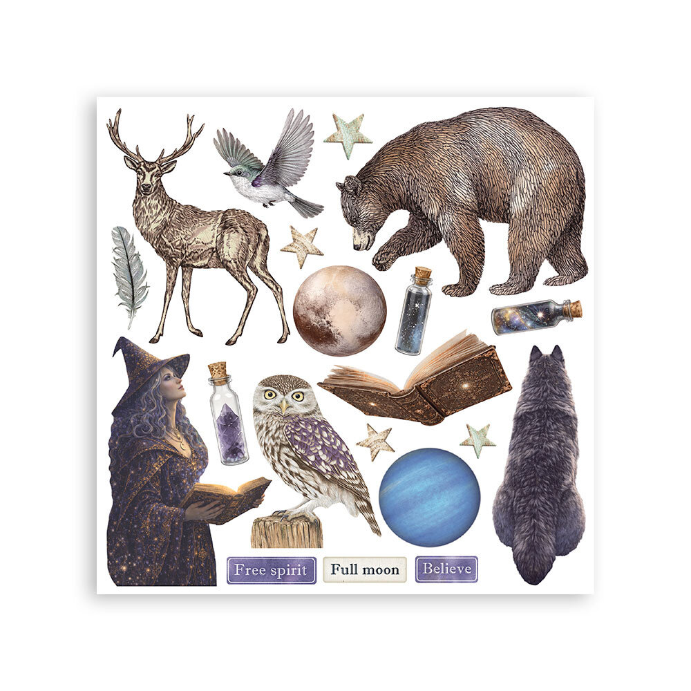 Stamperia Cosmos 6x6 Inch Rub-On Assortment (DFLRBX22)