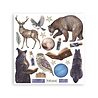 Stamperia Cosmos 6x6 Inch Rub-On Assortment (DFLRBX22)