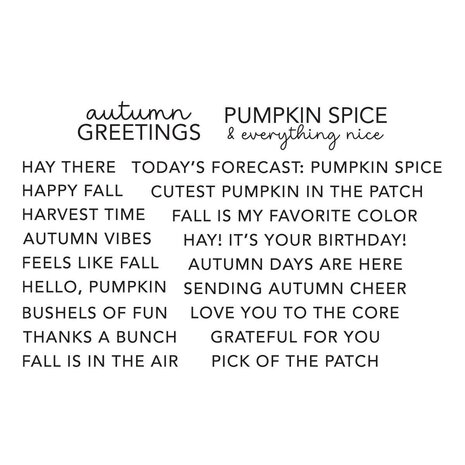 Spellbinders PRE-ORDER Fall Adventures All About Fall Clear Stamp Set (STP-292) Spellbinders PRE-ORDER Fall Adventures All About Fall Clear Stamp Set (STP-292)