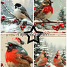 Paper Favourites Silent Winter A6 Paper Pack (PFA649) Paper Favourites Silent Winter A6 Paper Pack (PFA649)