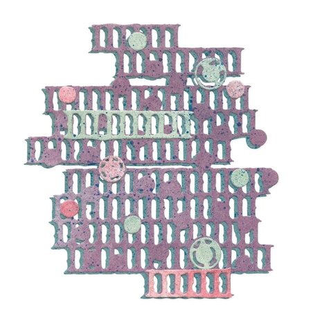 Sizzix Seth Apter Thinlits Die Set Stackers (667230) Sizzix Seth Apter Thinlits Die Set Stackers (667230)