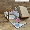Vaessen Creative Silly Sea Life Snijmal Gift Box (CAR0700) Vaessen Creative Silly Sea Life Snijmal Gift Box (CAR0700)