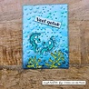 Vaessen Creative Silly Sea Life 6x6 Inch Embossing Folder Bubbles (CAR0708) Vaessen Creative Silly Sea Life 6x6 Inch Embossing Folder Bubbles (CAR0708)