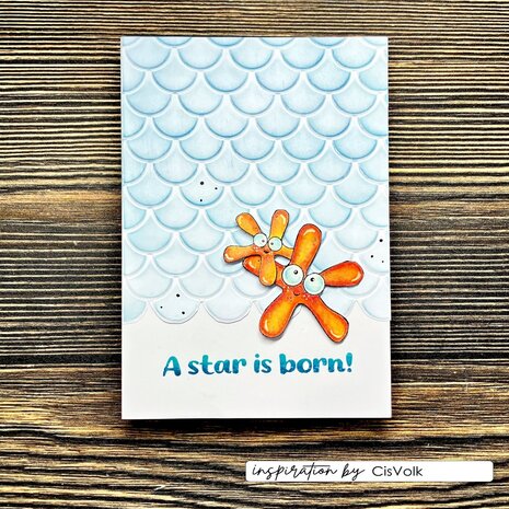 Vaessen Creative Silly Sea Life 6x6 Inch Stencil Fish Scales (CAR0709) Vaessen Creative Silly Sea Life 6x6 Inch Stencil Fish Scales (CAR0709)