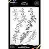 Arden Creative Studio PRE-ORDER Home & Garden 6x8 Inch Clear Stamp Set Wandering Vines (ACSCS0046) Arden Creative Studio PRE-ORDER Home & Garden 6x8 Inch Clear Stamp Set Wandering Vines (ACSCS0046)