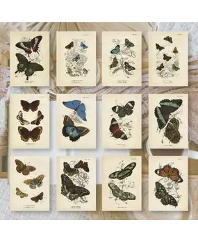 Plan & Plot Studio Butterflies Ephemera Paper (7,4x10,5 cm) (EP-A7-006) Plan & Plot Studio Butterflies Ephemera Paper (7,4x10,5 cm) (EP-A7-006)