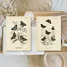 Plan & Plot Studio Butterflies Ephemera Paper (7,4x10,5 cm) (EP-A7-006) Plan & Plot Studio Butterflies Ephemera Paper (7,4x10,5 cm) (EP-A7-006)