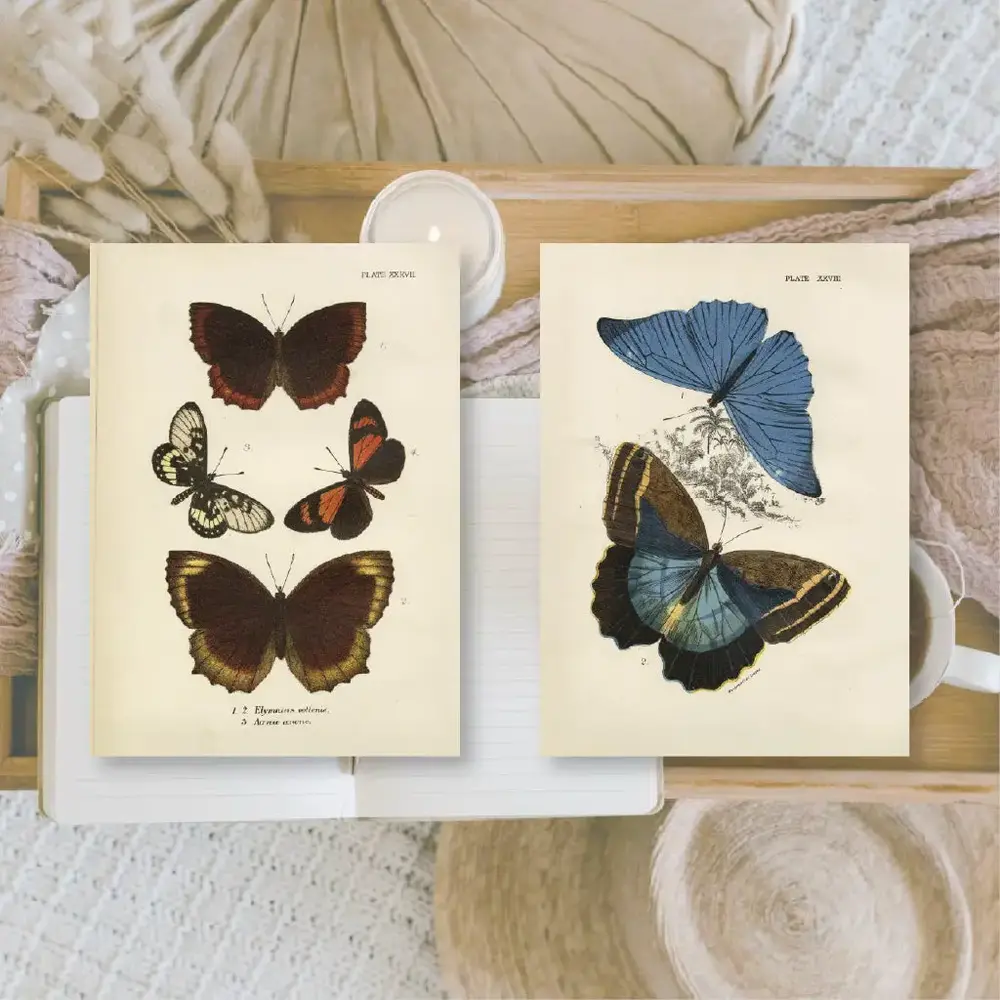 Plan & Plot Studio Butterflies Ephemera Paper (7,4x10,5 cm) (EP-A7-006) Plan & Plot Studio Butterflies Ephemera Paper (7,4x10,5 cm) (EP-A7-006)