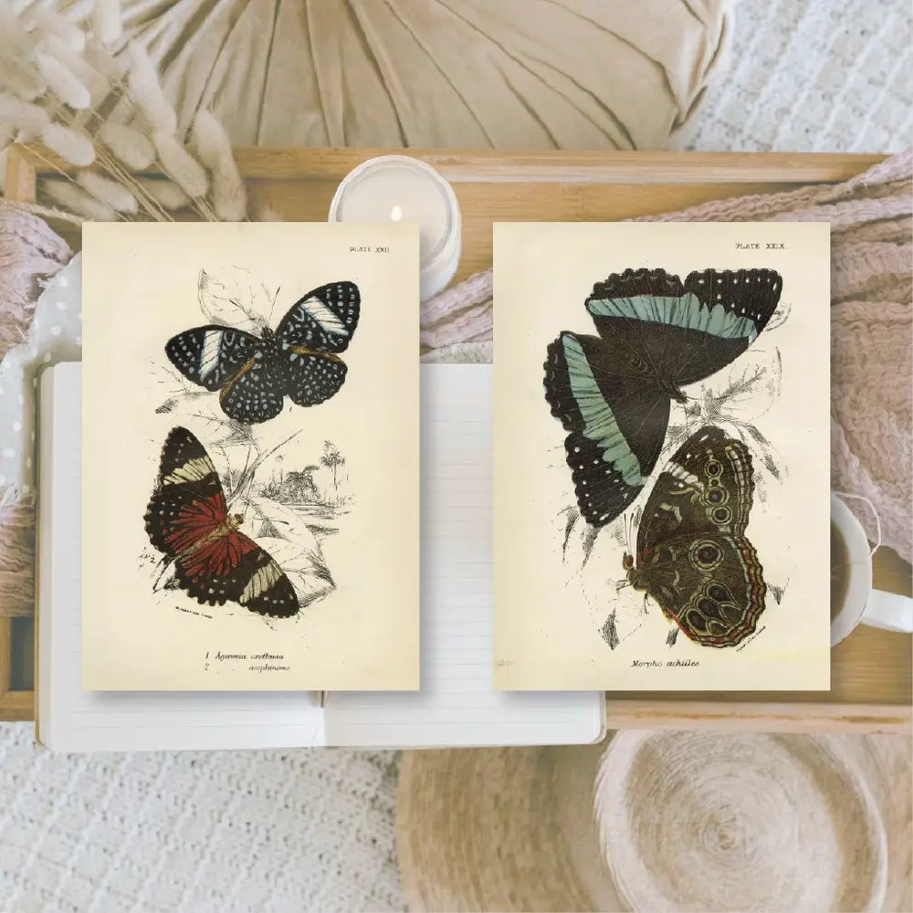 Plan & Plot Studio Butterflies Ephemera Paper (7,4x10,5 cm) (EP-A7-006) Plan & Plot Studio Butterflies Ephemera Paper (7,4x10,5 cm) (EP-A7-006)