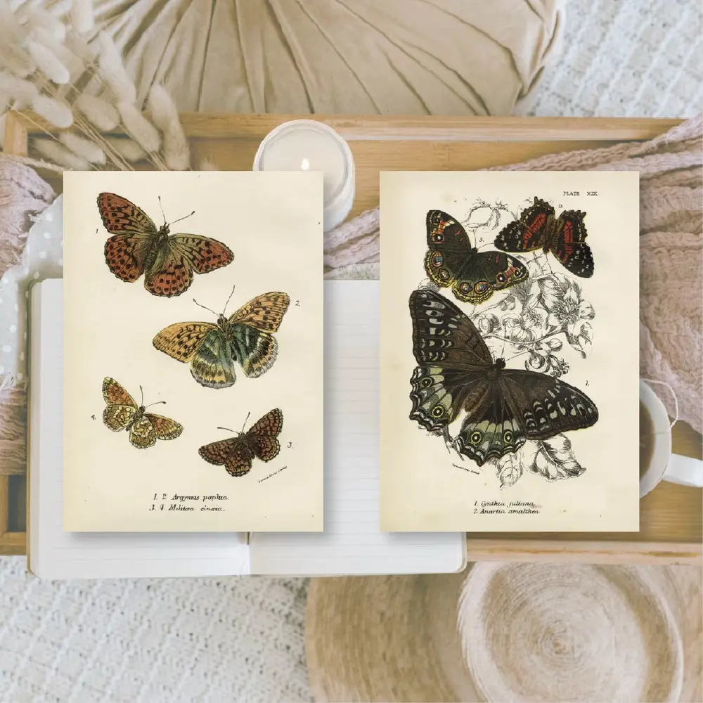 Plan & Plot Studio Butterflies Ephemera Paper (7,4x10,5 cm) (EP-A7-006) Plan & Plot Studio Butterflies Ephemera Paper (7,4x10,5 cm) (EP-A7-006)