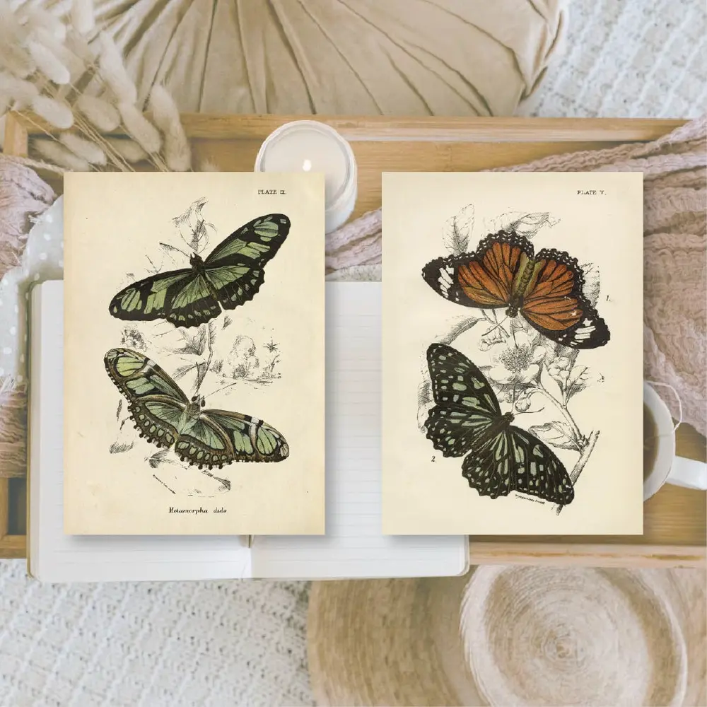 Plan & Plot Studio Butterflies Ephemera Paper (7,4x10,5 cm) (EP-A7-006) Plan & Plot Studio Butterflies Ephemera Paper (7,4x10,5 cm) (EP-A7-006)