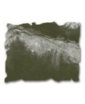 Ranger Distress Ink Reinker Forest Moss (TIM27256) Ranger Distress Ink Reinker Forest Moss (TIM27256)