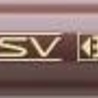 Faber Castell Polychromos Kleurpotlood 176 Van Dyck Brown (FC-110176) Faber Castell Polychromos Kleurpotlood 176 Van Dyck Brown (FC-110176)