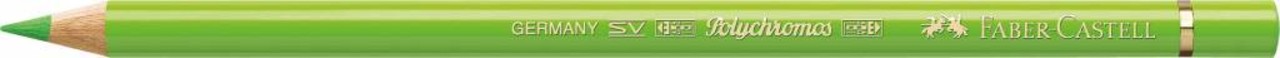 Faber Castell Polychromos Kleurpotlood 171 Light Green (FC-110171) Faber Castell Polychromos Kleurpotlood 171 Light Green (FC-110171)