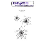 IndigoBlu Poinsettia Mounted A6 Rubber Stamp (POI)