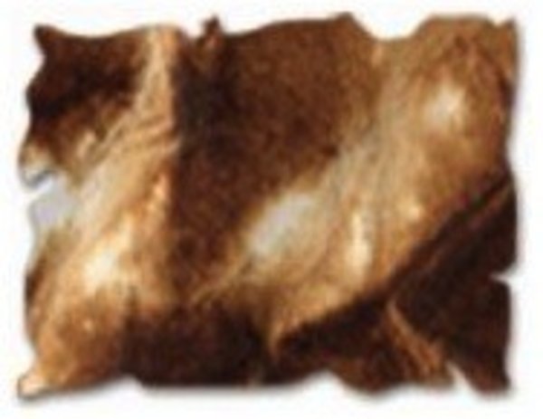 Ranger Distress Ink Reinker Vintage Photo (TIM19466) Ranger Distress Ink Reinker Vintage Photo (TIM19466)