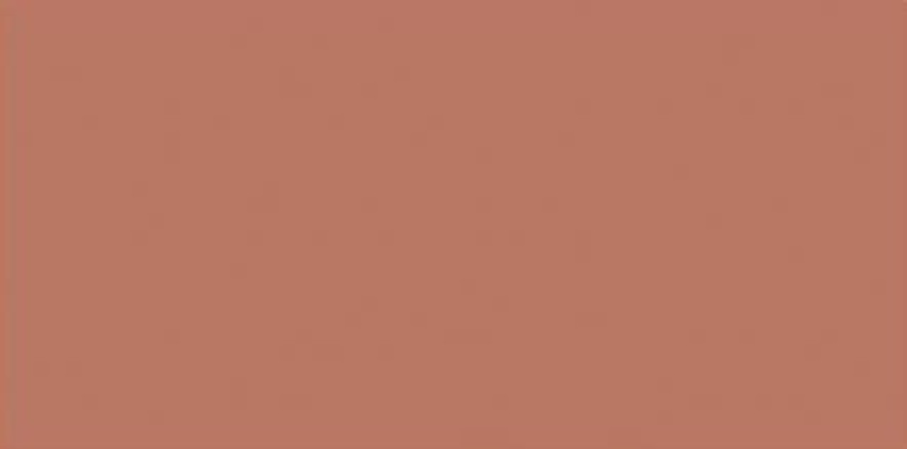 Nuvo Sparkle Dust Cinnamon Spice (NSD 543) Nuvo Sparkle Dust Cinnamon Spice (NSD 543)