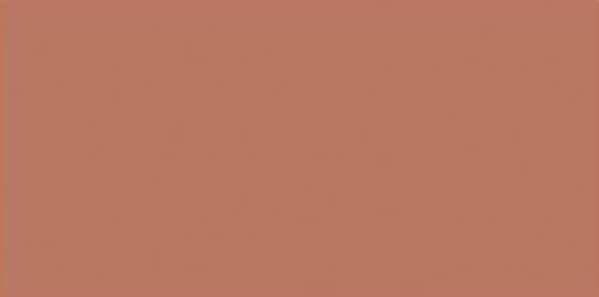 Nuvo Sparkle Dust Cinnamon Spice (NSD 543) Nuvo Sparkle Dust Cinnamon Spice (NSD 543)