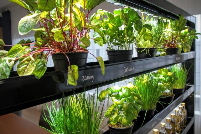 PARUS, Eco Natura Divider, 180cm hoog, 190cm breed, 3 lagen, 180 Watt