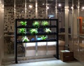 PARUS, Eco Natura Divider, 180cm hoog, 190cm breed, 3 lagen, 180 Watt