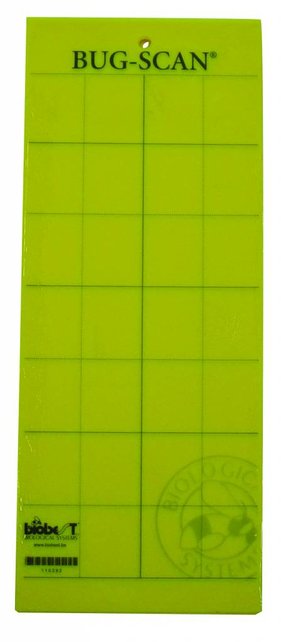 Catch Smoking YELLOW dim. 25cm x 10cm 10 cards Catch Smoking YELLOW dim. 25cm x 10cm 10 cards