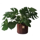 RootPouch  GREY 45 ltr met handvaten  Ø38x40cm 250gr/m2 10st/bundel RootPouch  GREY 45 ltr met handvaten  Ø38x40cm 250gr/m2 10st/bundel