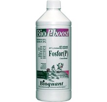 BioQuant, P-boost, 250ml