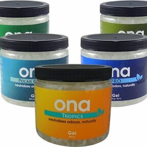 ONA GEL 500 ml POT Apple Crumble