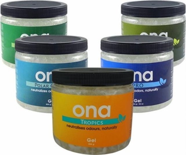 ONA  GEL 500 ml POT  Polar Crystal