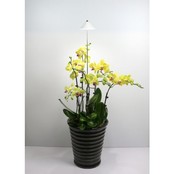 Parus, PotLed iSun-Pole 7Watt, WHITE Parus, PotLed iSun-Pole 7Watt, WHITE