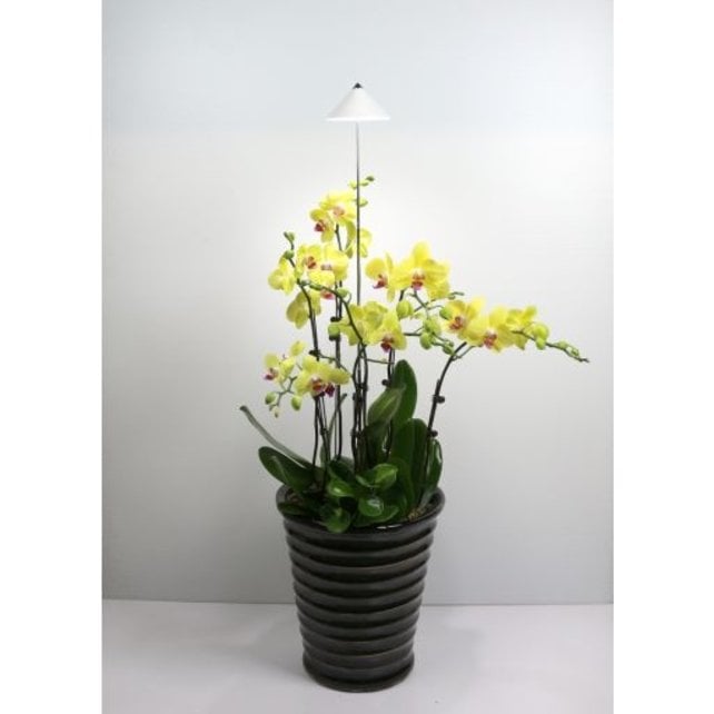 Parus, PotLed iSun-Pole 7Watt, WHITE Parus, PotLed iSun-Pole 7Watt, WHITE