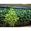 Parus PARUS, Linear-Spot-LED GREENWALL "Grow White" 120cm, 120°, 40Watt, for Living-Wall 240cm high