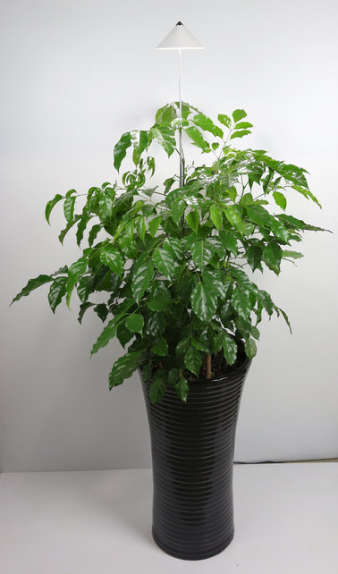 Parus, PotLed iSun-Pole 7Watt, WHITE Parus, PotLed iSun-Pole 7Watt, WHITE