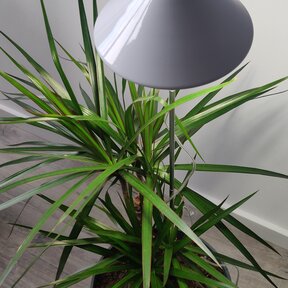 PARUS GROTE iSun PotLED 30 Watt , WIT