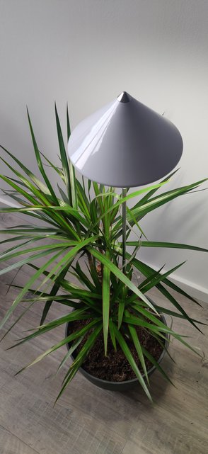 PARUS GROTE iSun PotLED 30 Watt , WIT