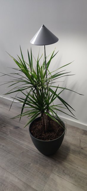 PARUS GROTE iSun PotLED 30 Watt , WIT