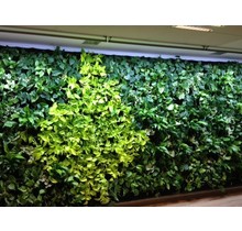 PARUS, Linear-Spot-LED GREENWALL "Grow White" 90cm , 120°, 30Watt, tbv Living-Wall 240cm hoog