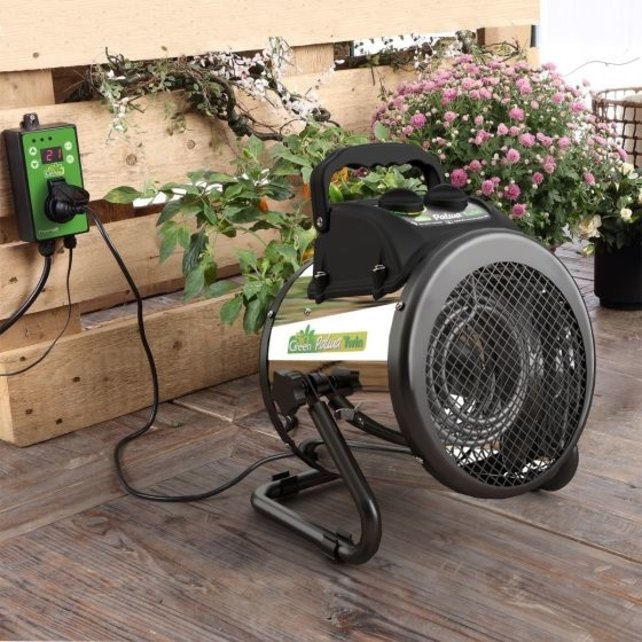 Biogreen, Palma TWIN (2 gloei-spiralen), incl. externe thermostaat